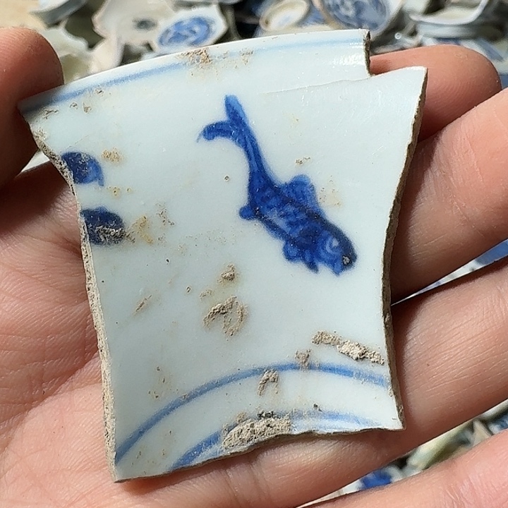 瓷片瓷片标本，顺丰包邮