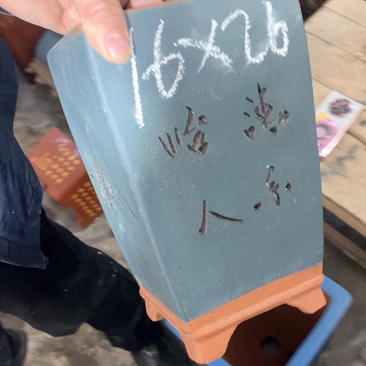 紫砂茶壶紫砂艺术