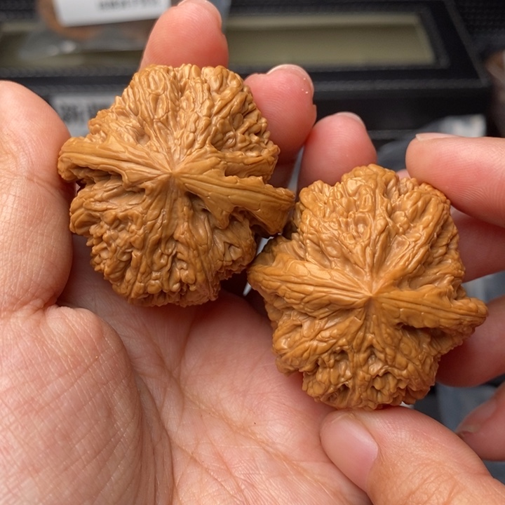 文玩核桃把件42粗筋