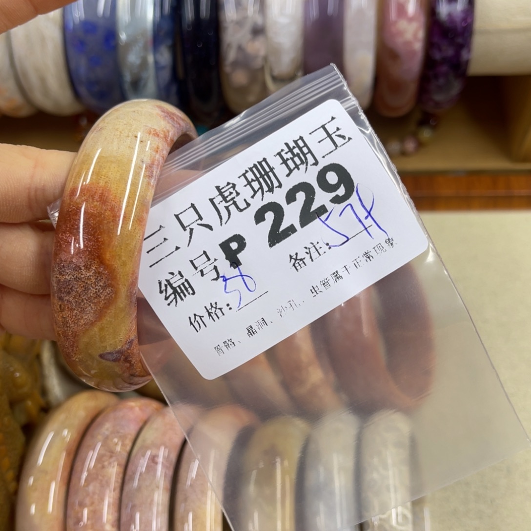 N***9未镶嵌h硅化珊瑚（珊瑚玉）