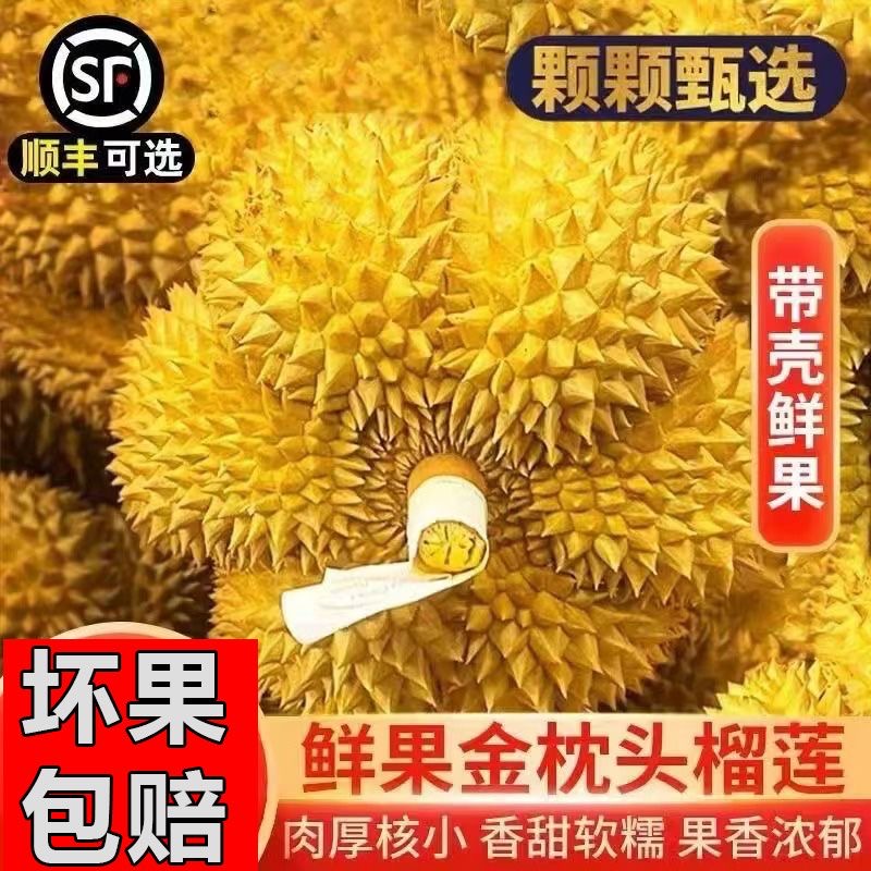 金枕头树上熟带壳软糯香甜顺丰包邮