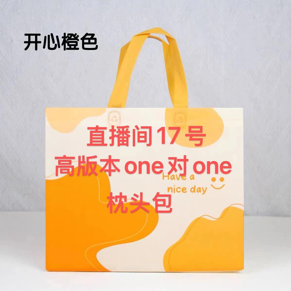 YA【17号】2025新款百搭时尚女包mini枕头18