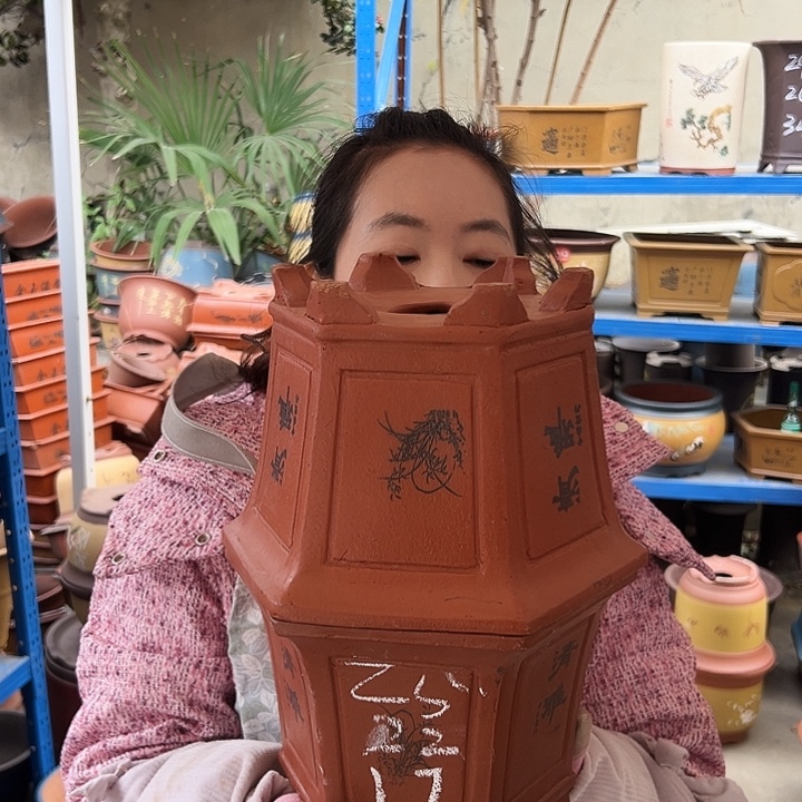 25+25红清雅六方花盆花盆花盆