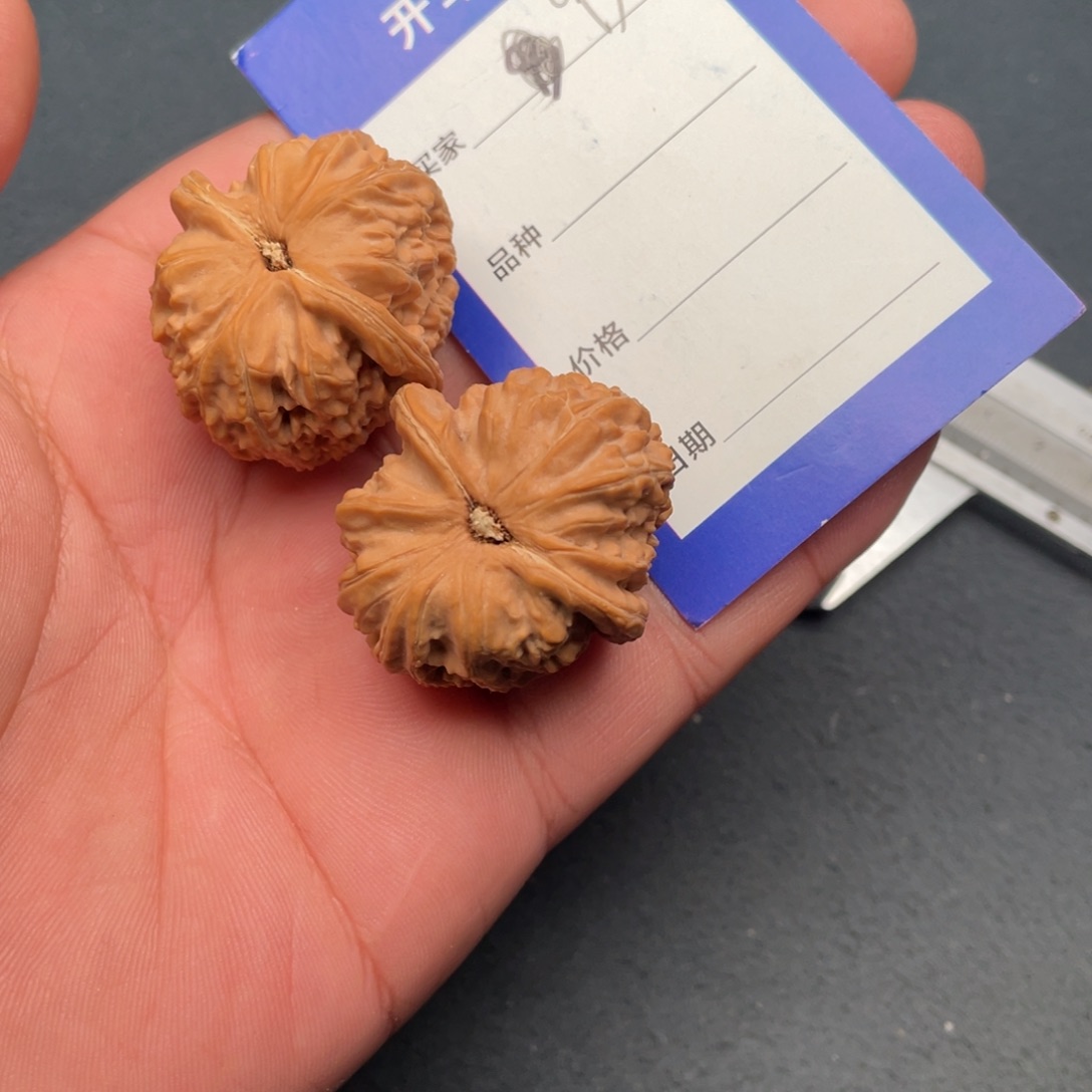 核桃把件35白狮子，93号