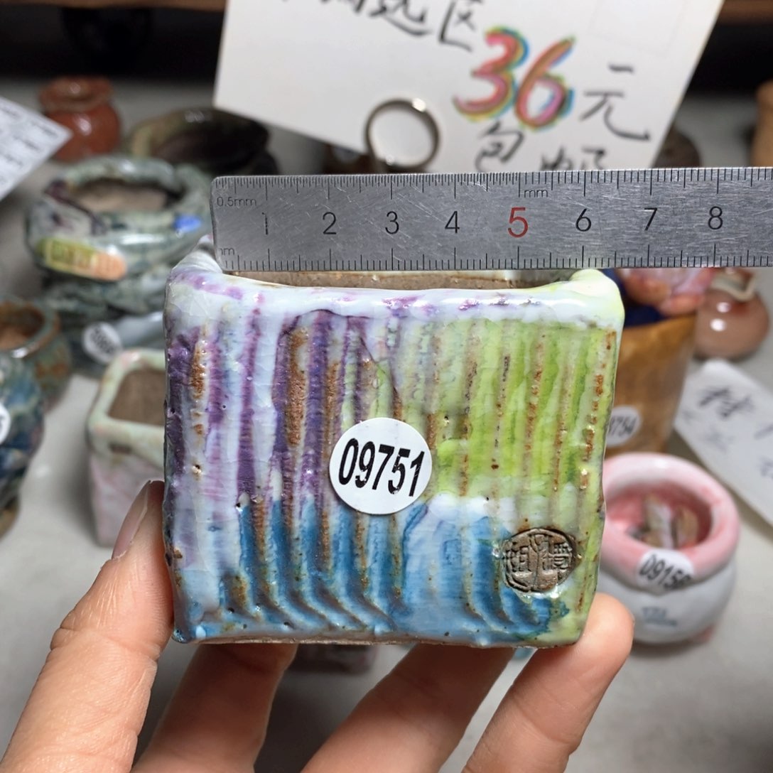 小晃花盆双十二活动不退不换的原28元一个