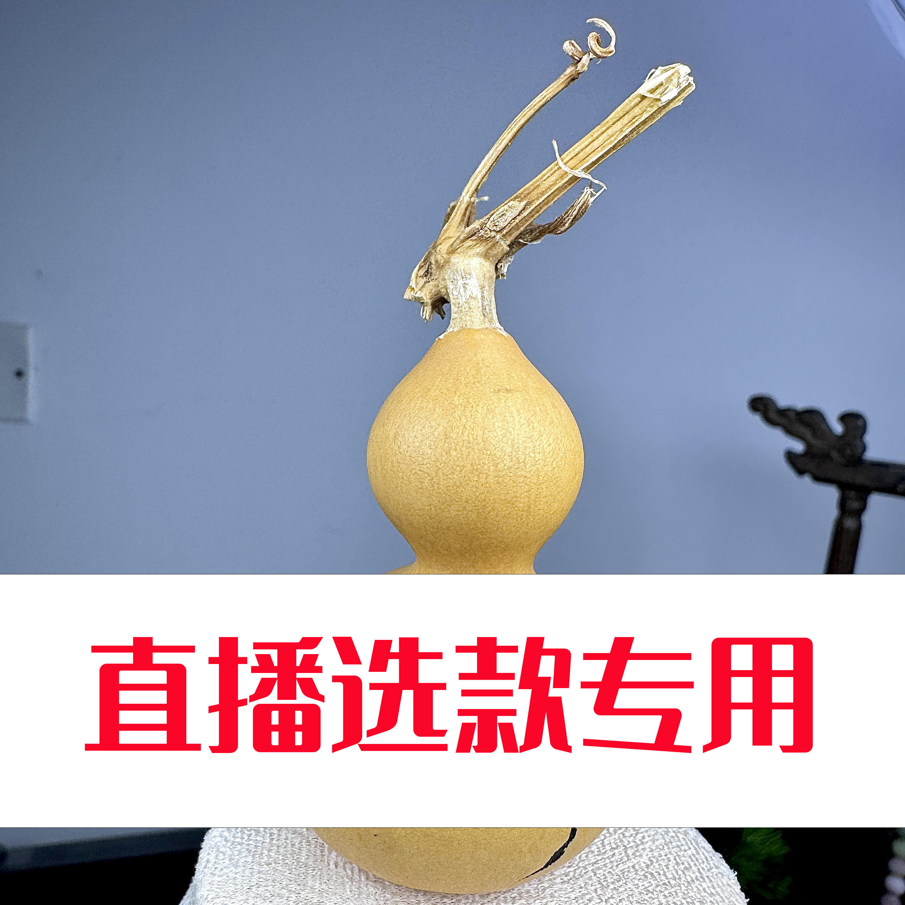 天然手捻葫芦 文玩把玩精品小葫芦 绕指柔葫芦（多样性发货）