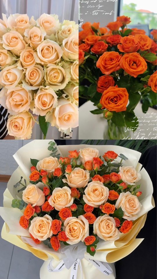 3件套鲜花 (10枝香槟+橙色芭比5枝+配草)