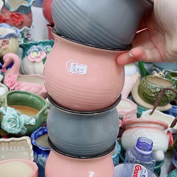 多肉植物陶瓷花盆