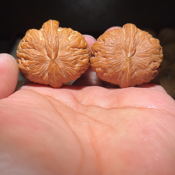 木平谷元宝42的。    