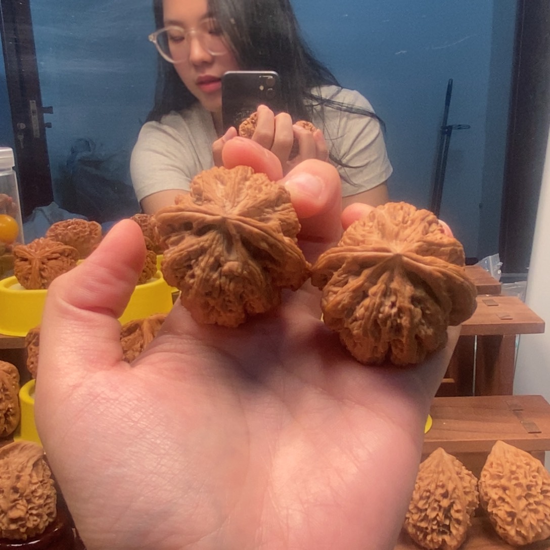 核桃手串/手链N****粗筋