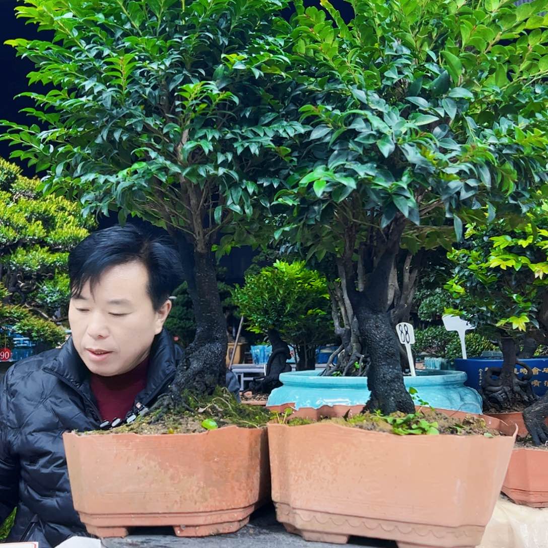 以实际为准煜**车12345678