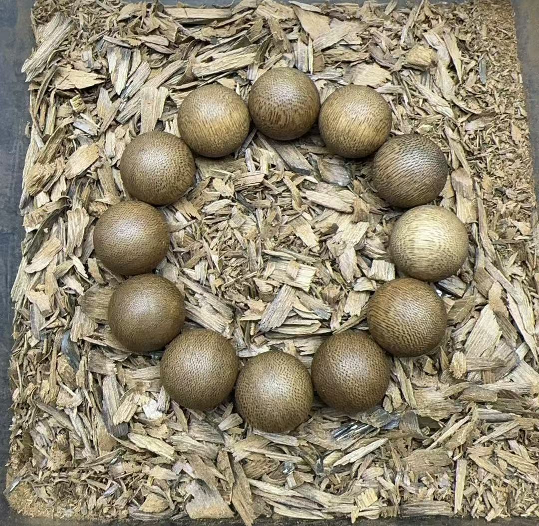 沉香老九优选/d070