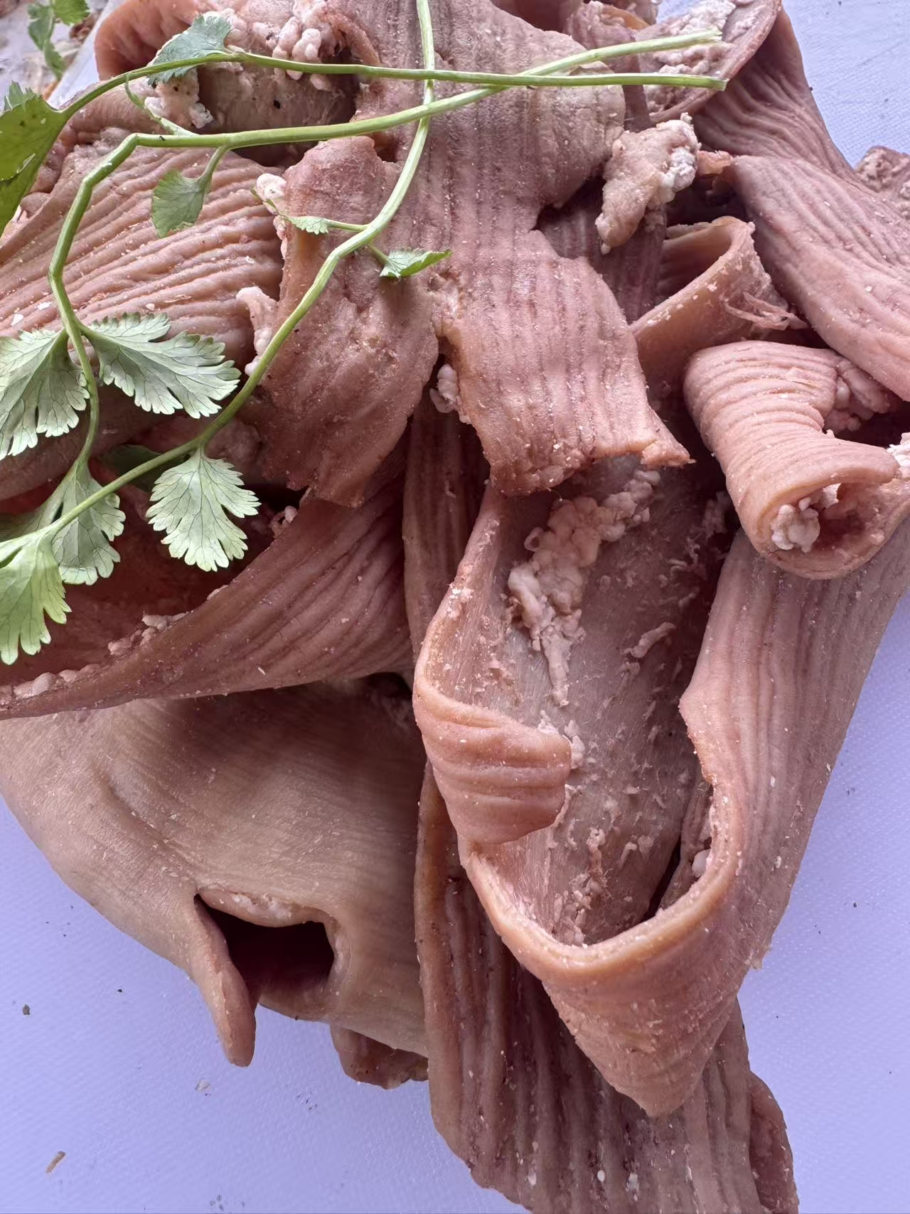 栏杆特产 卤五香牛肠【全熟】可炒菜 炖菜