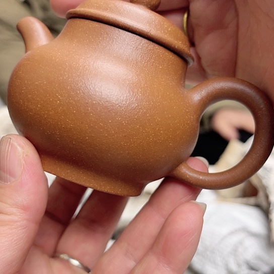 紫砂茶壶今天不知道