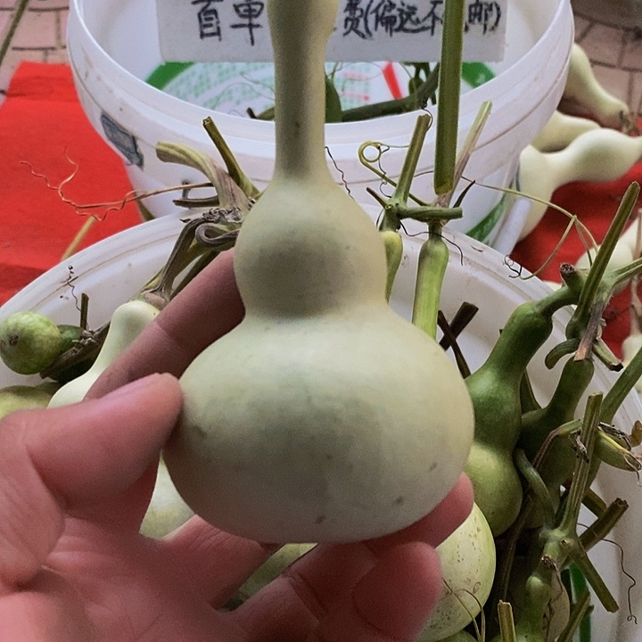 三**人长嘴哈哈哈哈哈哈哈哈哈哈哈哈哈好