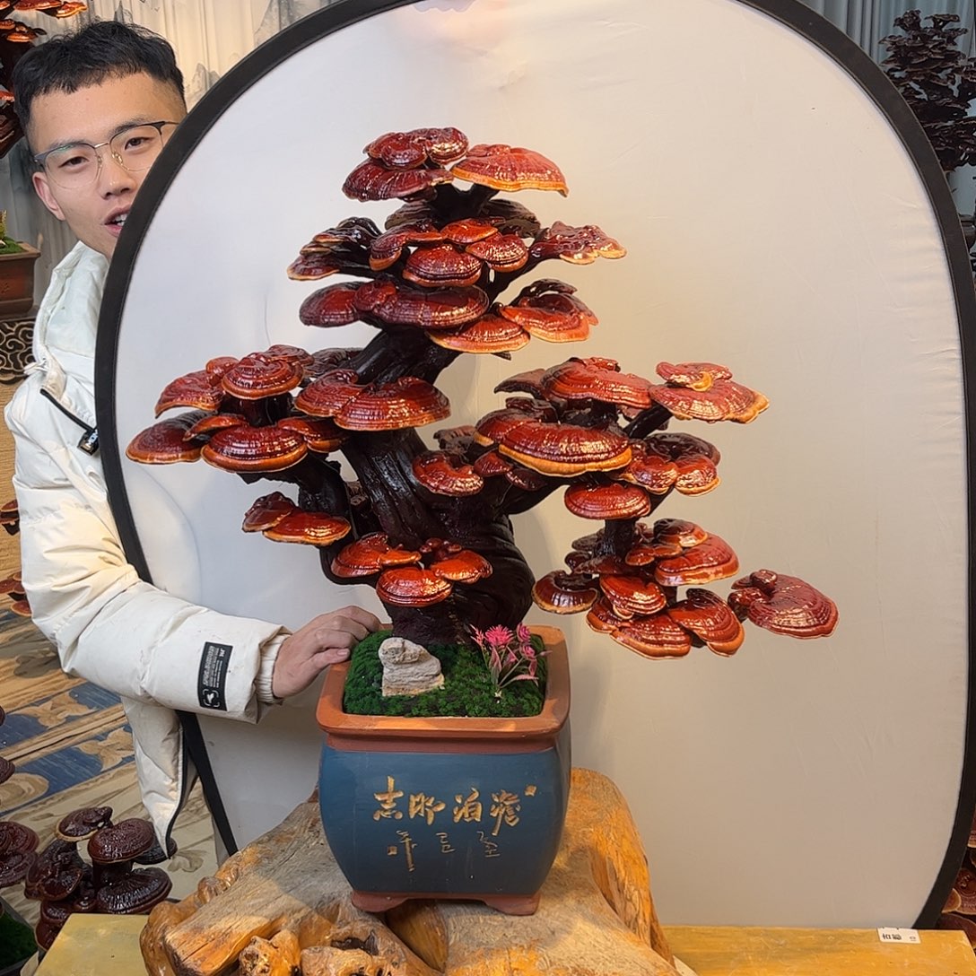 无花朵88888888888