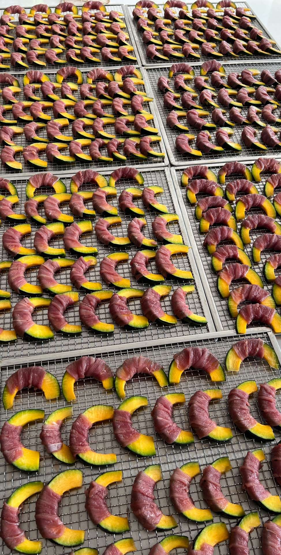 宠物烘干零食鸭肉贝贝瓜