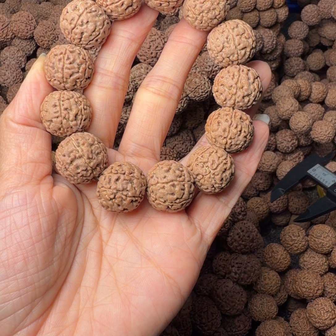 金刚菩提手串7瓣卡20尺，89号