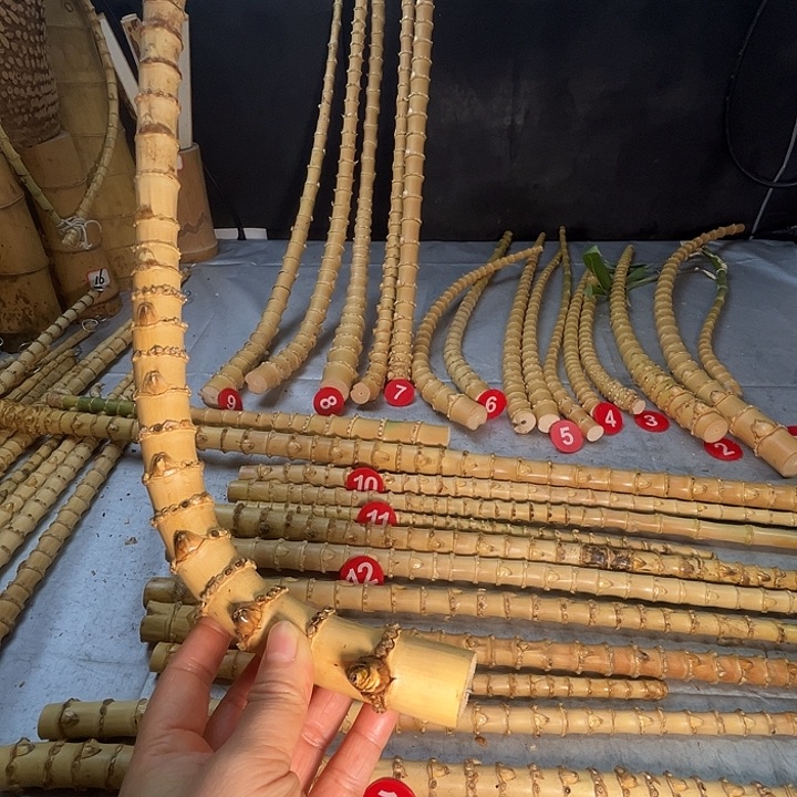 扇子苦竹烟杆半成品