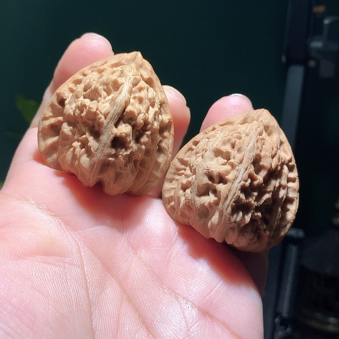 把件文玩核桃41三角白
