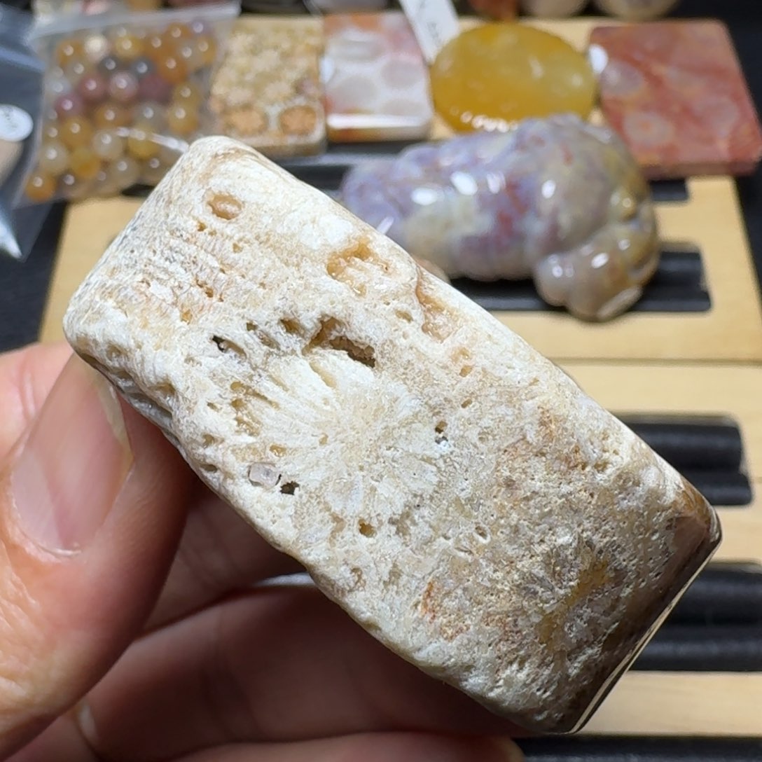 硅化珊瑚（珊瑚玉）纯天然色有机玉石手镯芯未镶嵌