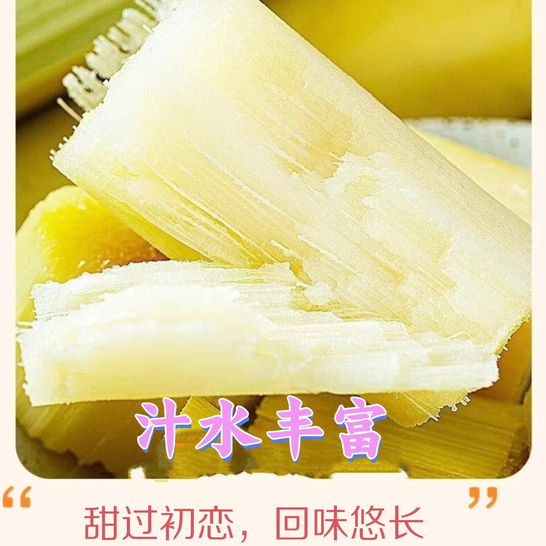 【勐玛山】云南黄金甘蔗脆甜多汁孕妇当季新鲜水果黄皮甘蔗脆甘蔗商品图