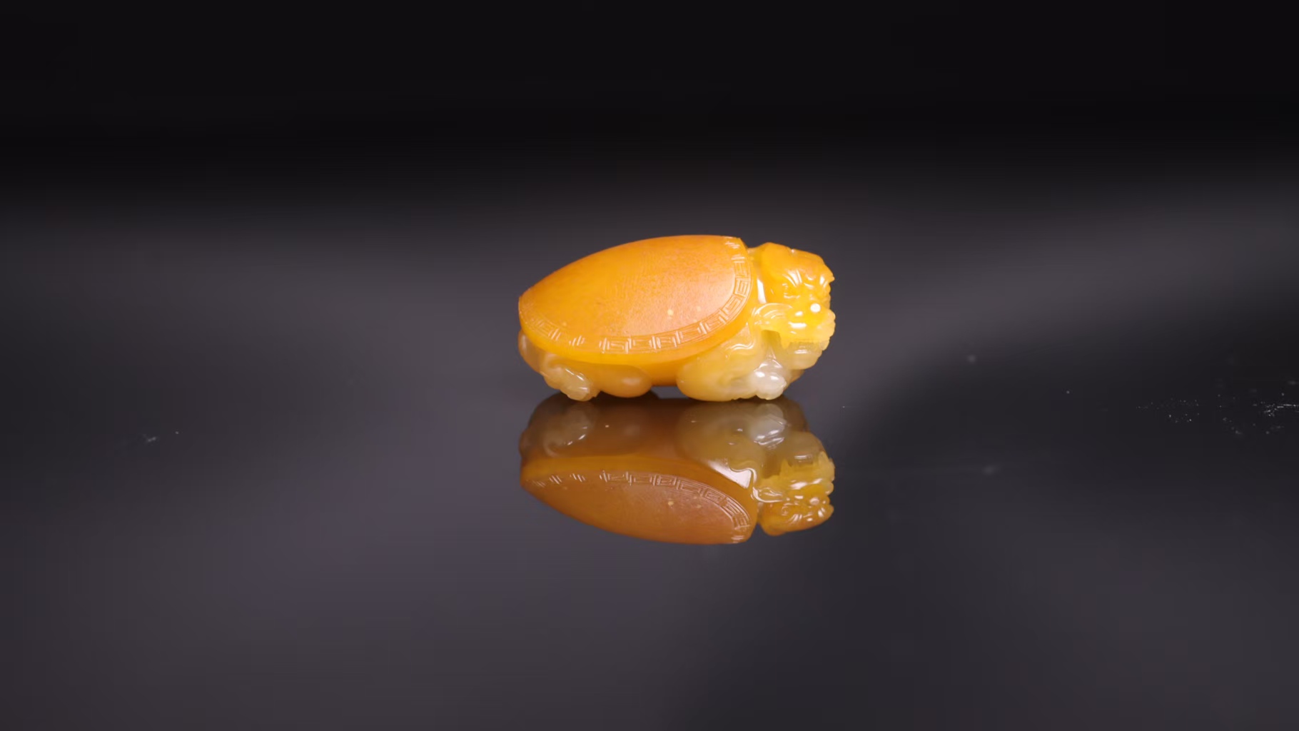 黄沁玉种龙龟 克重28克 