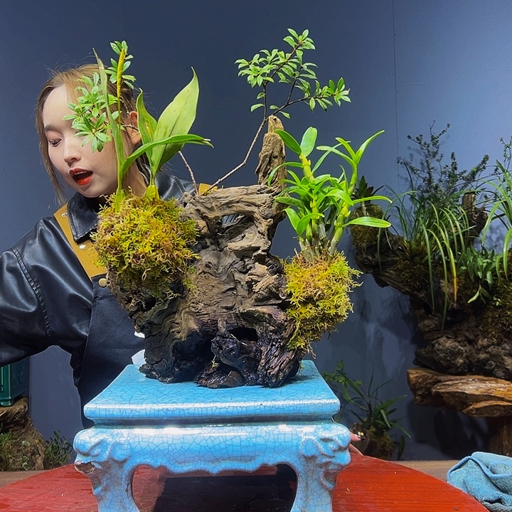 谷***禅完全开放1111111111