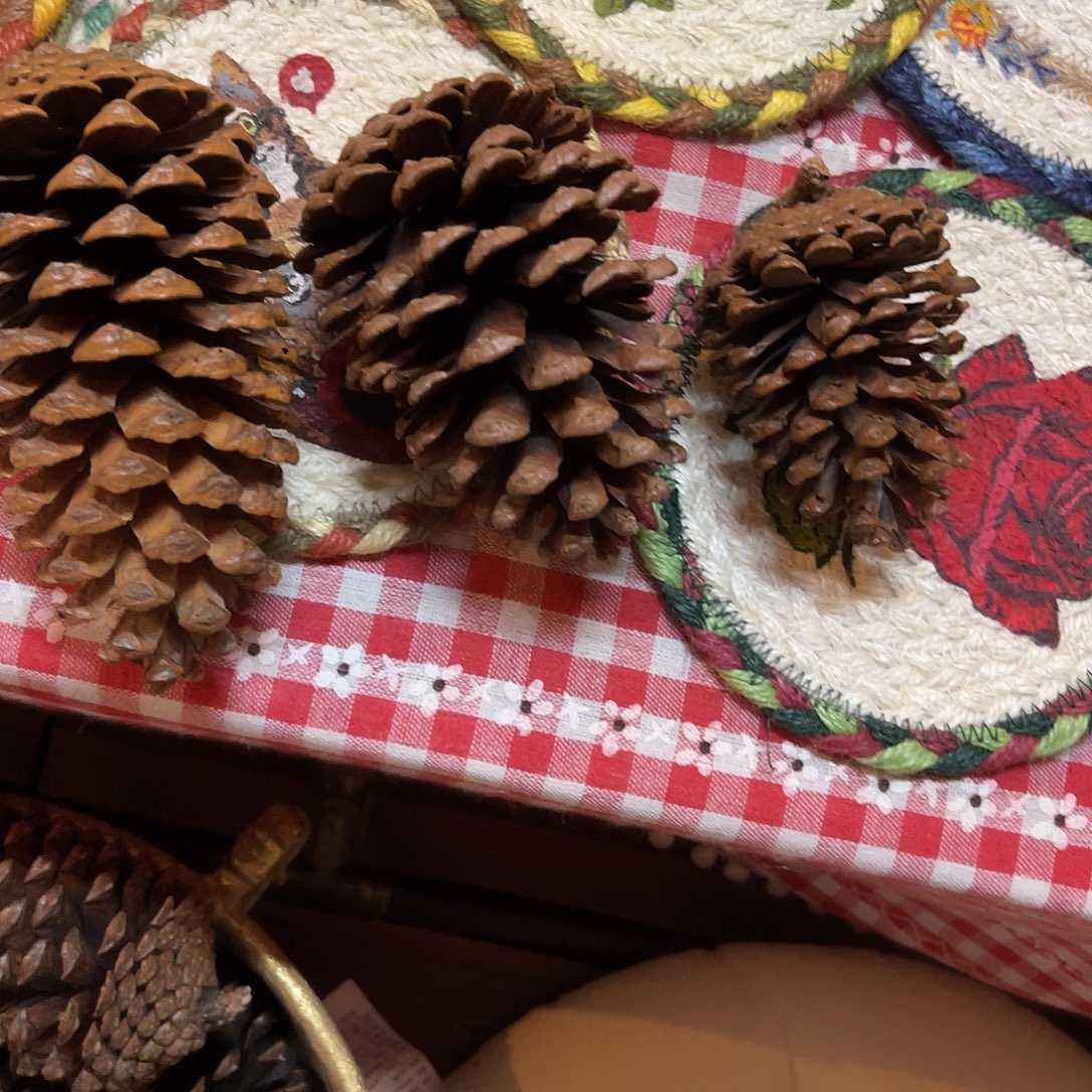 p****安提克斯拍了说已拍松果