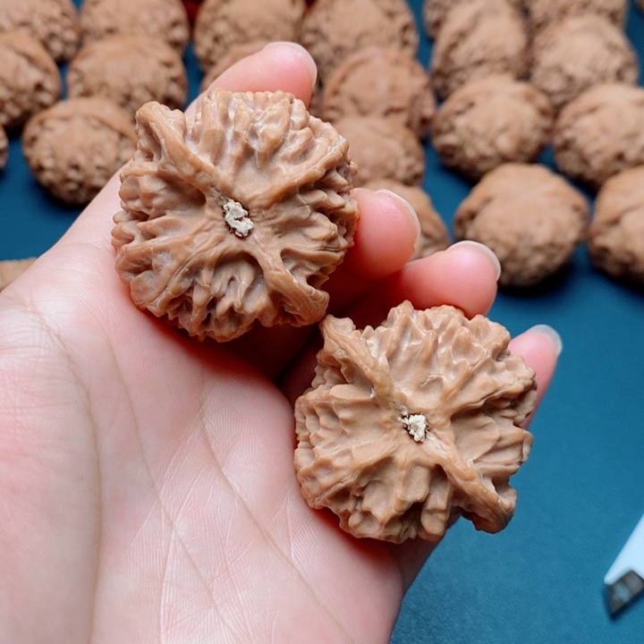 文玩核桃把件苹果园全品42