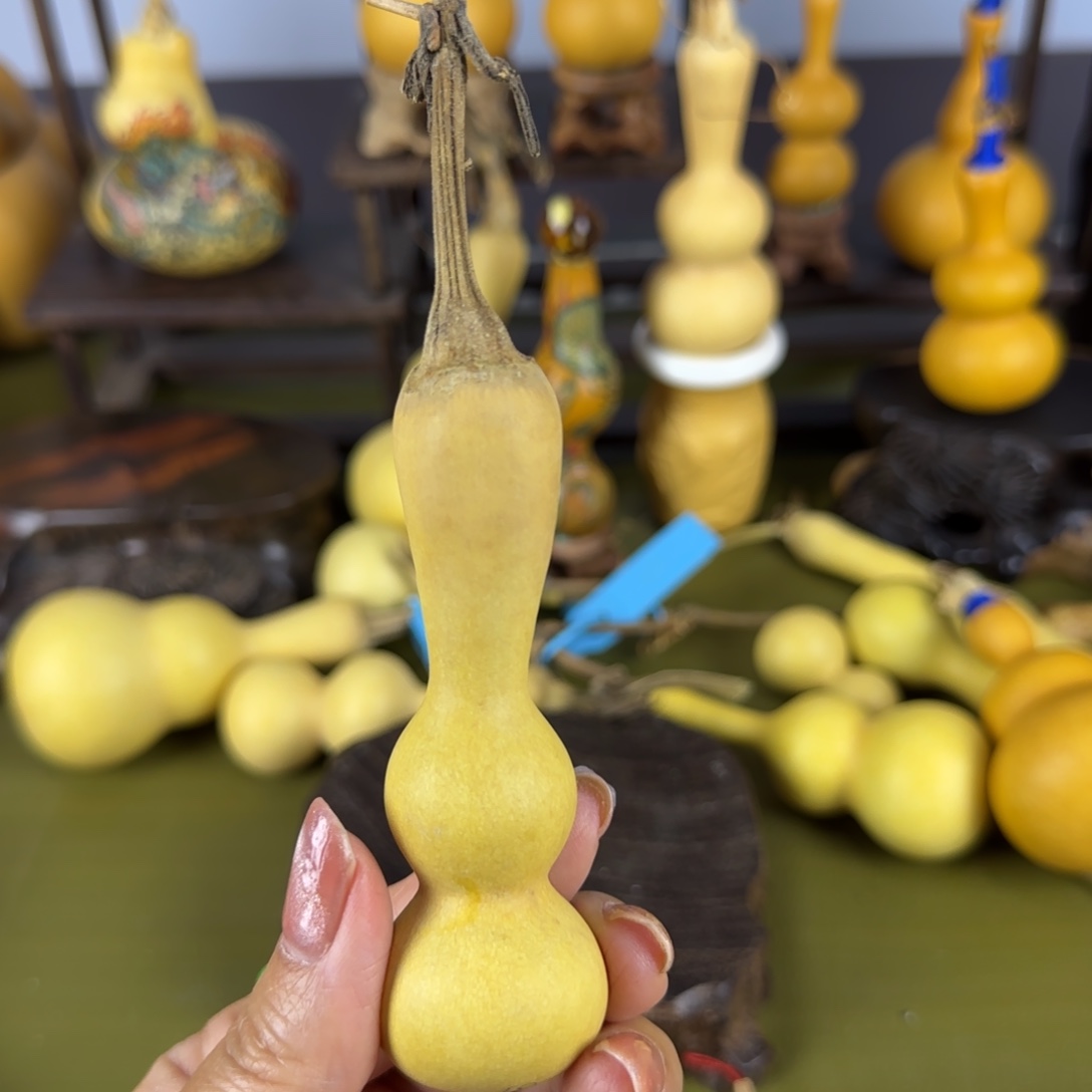 赵***哥葫芦啦咯考虑咯啦咯某咯