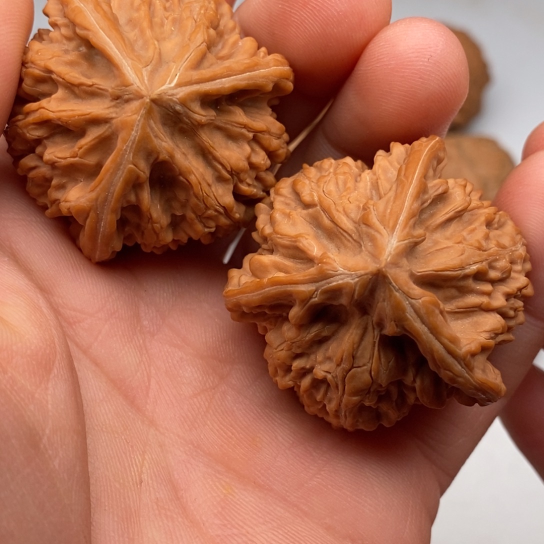 文玩核桃把件40文山三棱