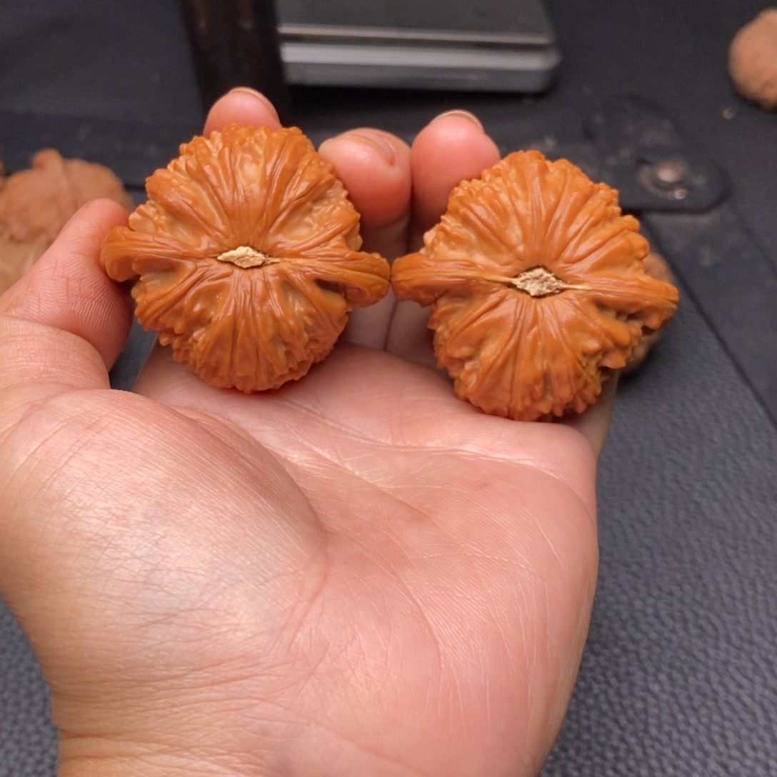 把件文玩核桃42白狮子