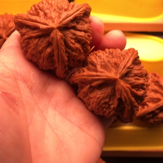 D***G核桃核桃核桃核桃核桃