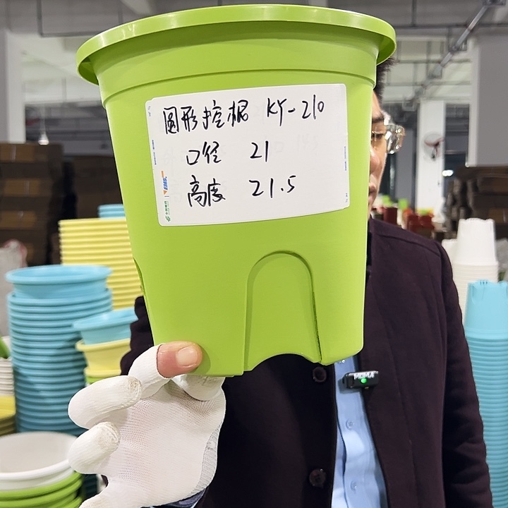 正品圆控口21高21果绿8只无托