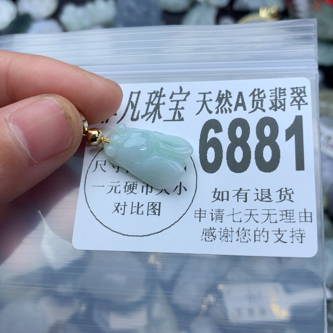 翡翠颈饰未镶嵌6881。