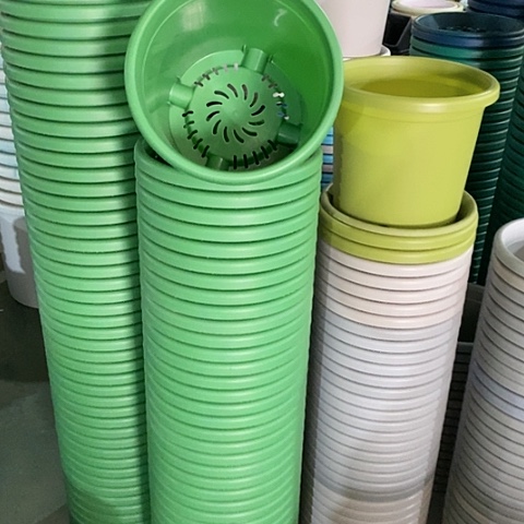 树脂草绿色4号无托8个