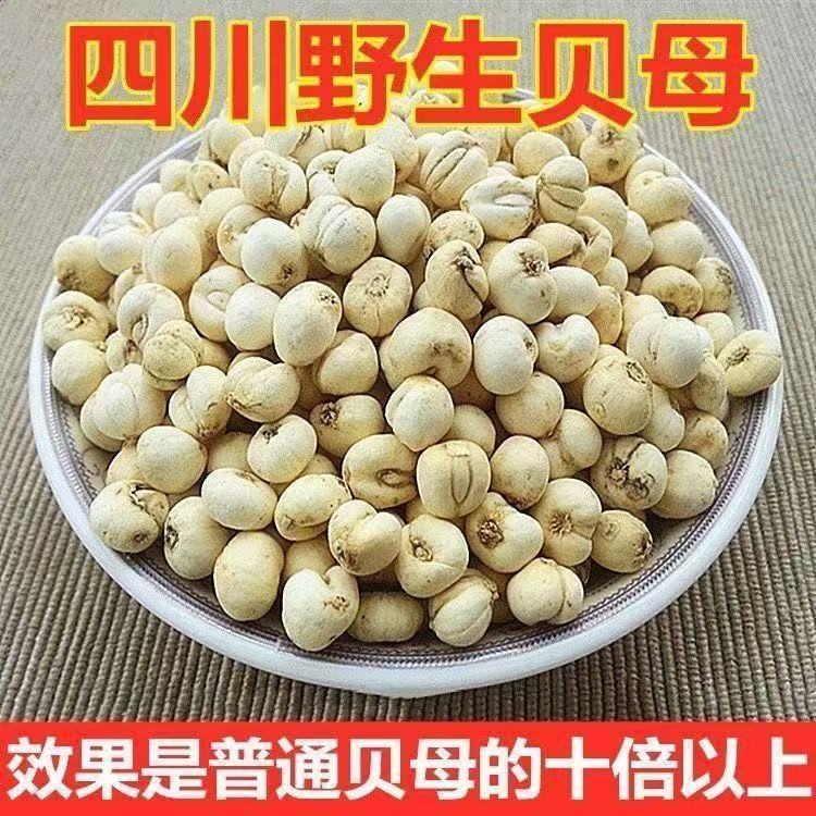 川贝母特级野生川贝母新货无硫川贝中药材贝母粒干松贝川贝粉