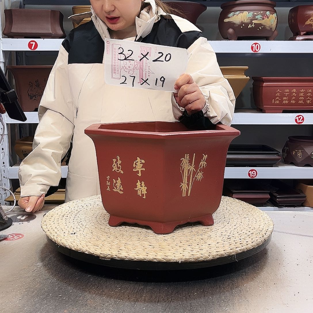 花盆紫砂紫砂花盆里