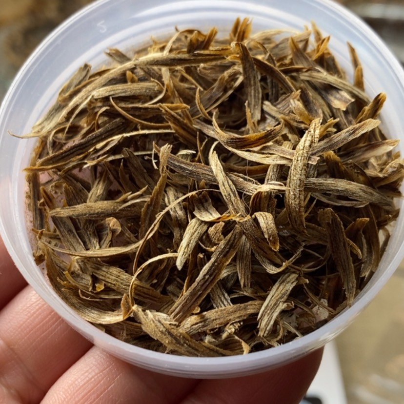 【闪购商品】沉香沉香碎屑惠安树心油勾丝1克