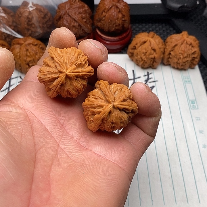 核桃把件练手白狮子1