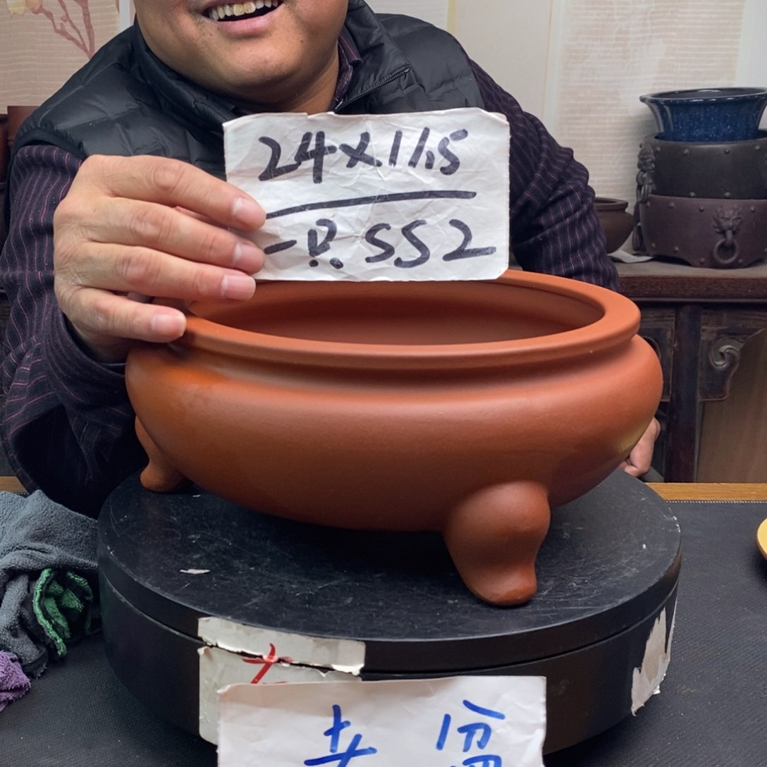 红陶货号一只SS2