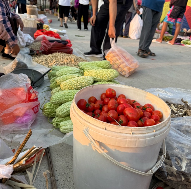赶集临时链接农村蔬菜助农要求高的别拍