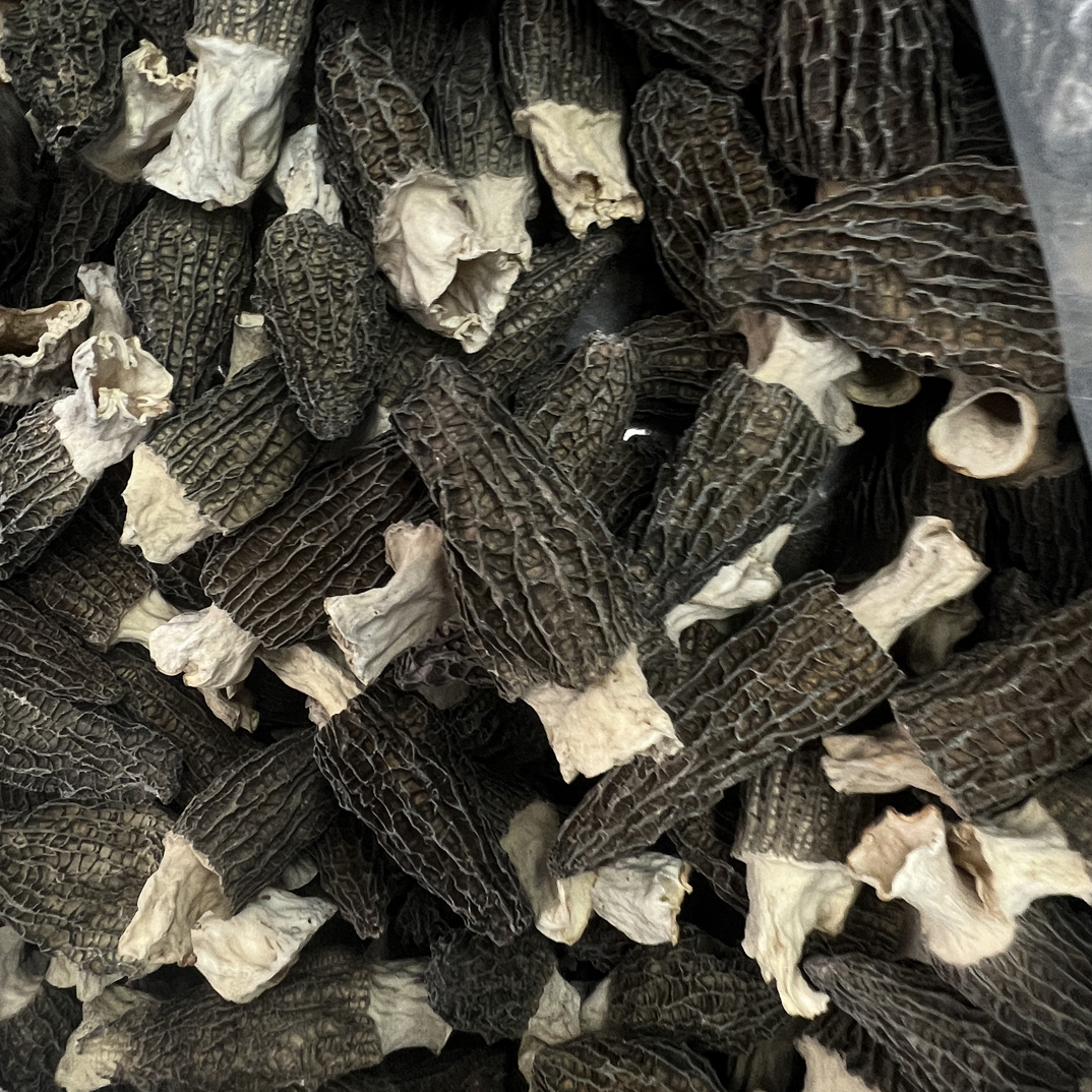 大个头羊肚菌1227