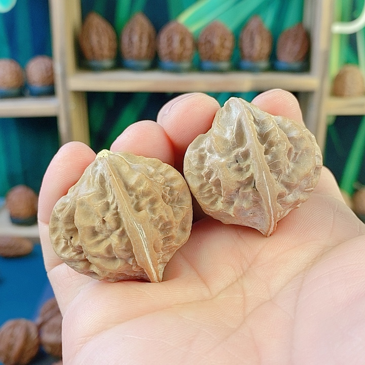 吊坠文玩核桃053蘑菇云36肚