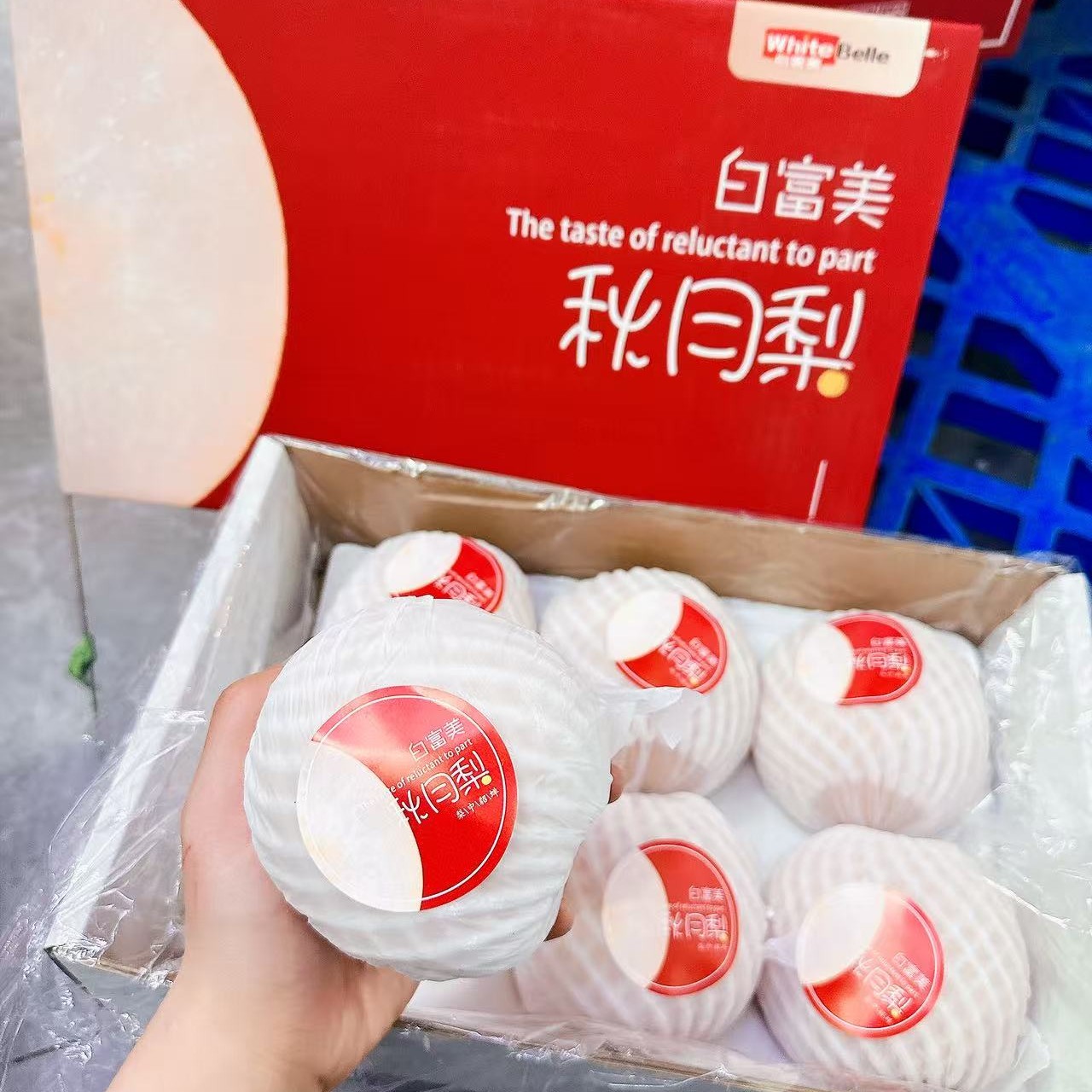 小箱秋月梨礼盒 6枚果