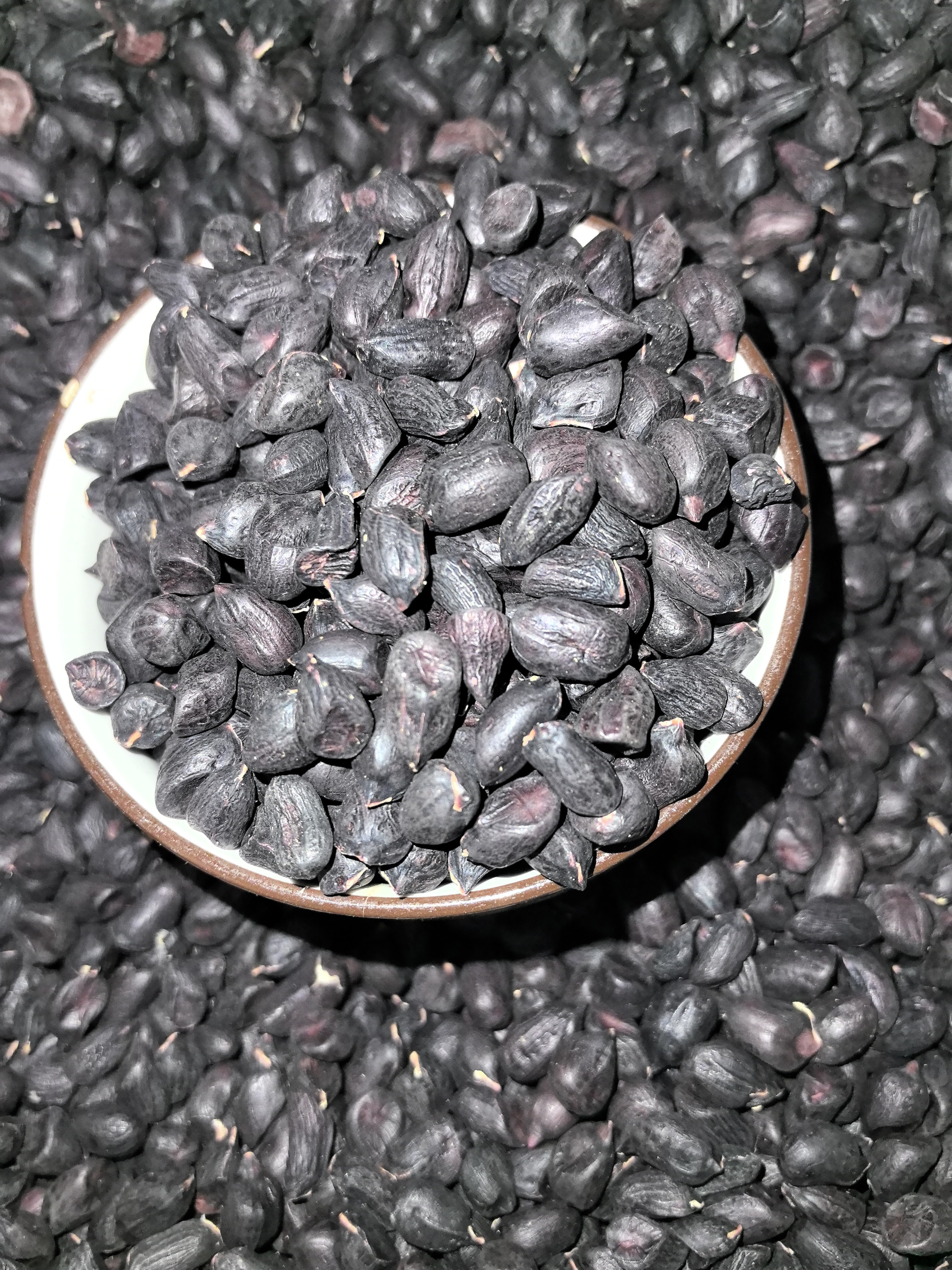 云南特产黑花生新鲜晒干生花生营养健康