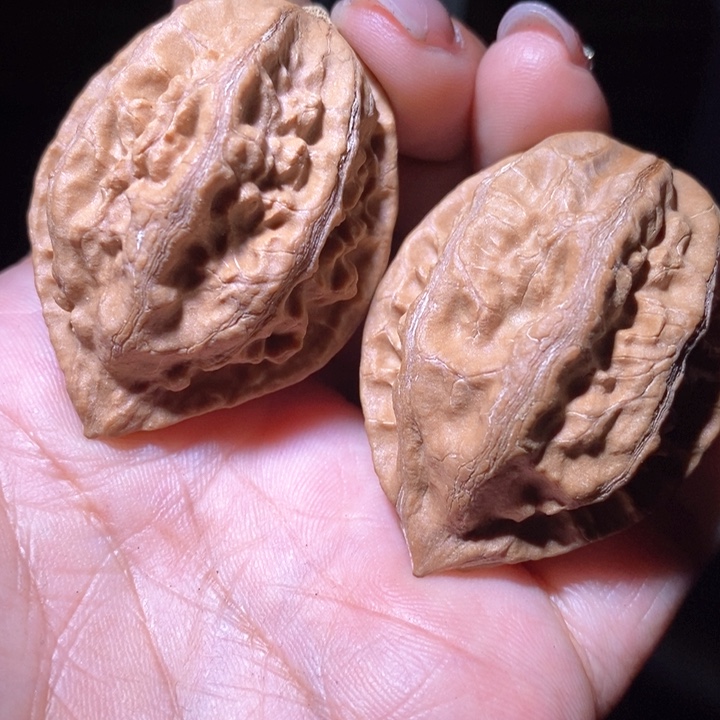 文玩核桃把件东北野生楸子小美58