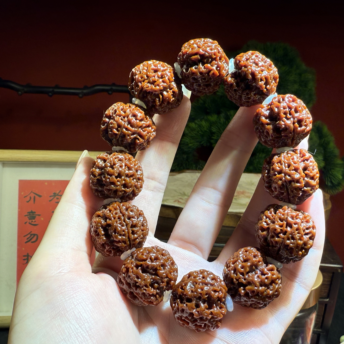 四瓣老蜂王玉华素22mm