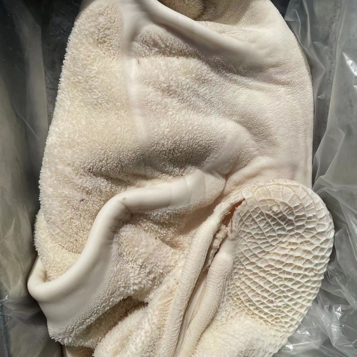 5斤新鲜清真冷冻牛肚顺丰包邮固形物含量高